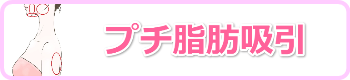 プチ脂肪吸引