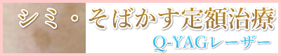 シミ定額プラン